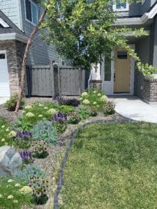 Design concept for front yard, Collins House, Meridian, Idaho