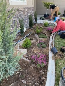 Planting Day, Structured Simplicity for a Front Yard, Caldwell, Idaho
