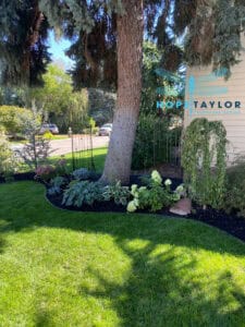 Trellises Flank the Yard, Shaded Serenity, Boise, Idaho