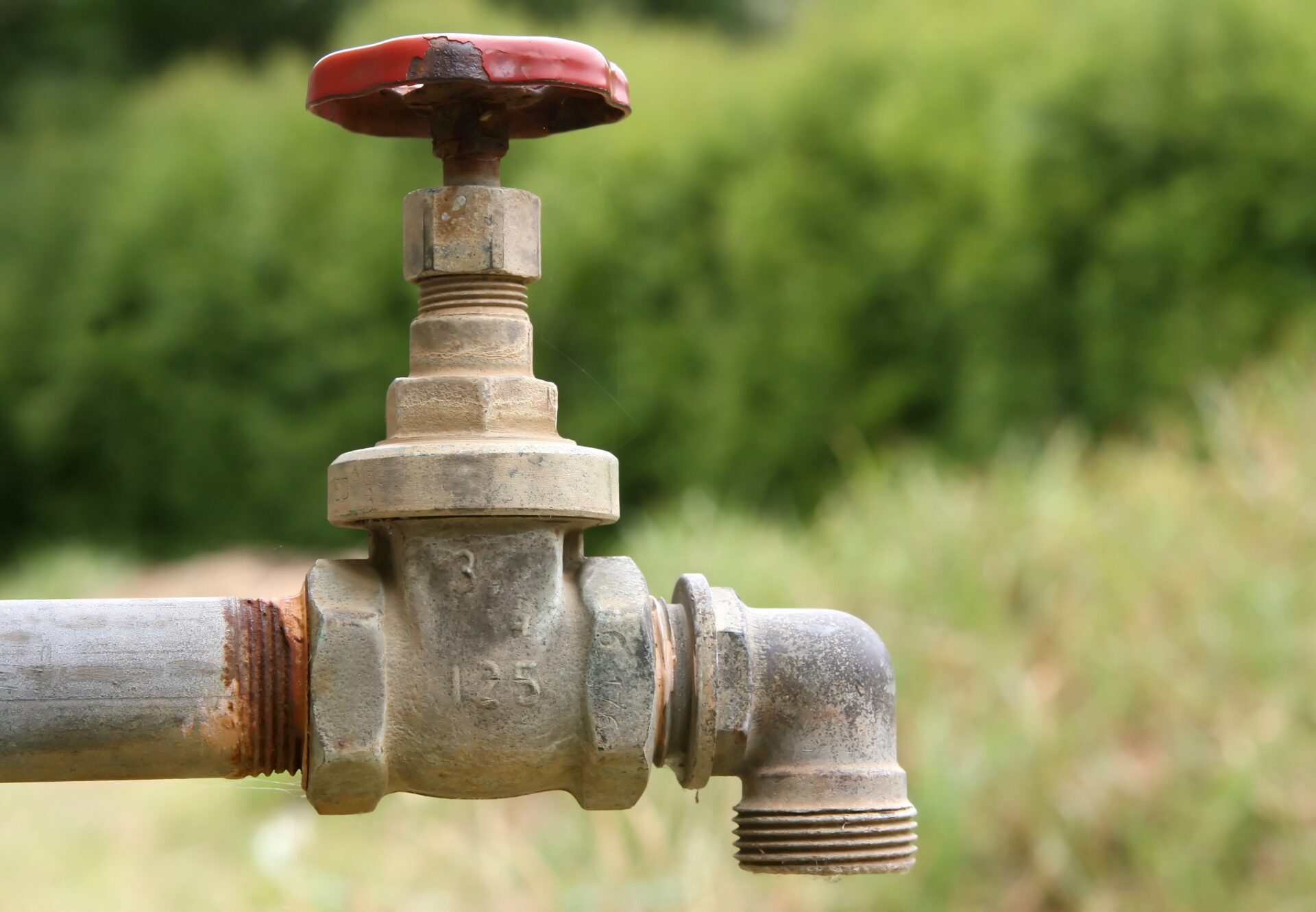 Garden Hose by Shutterbug